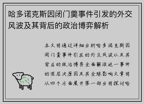 哈多诺克斯因闭门羹事件引发的外交风波及其背后的政治博弈解析